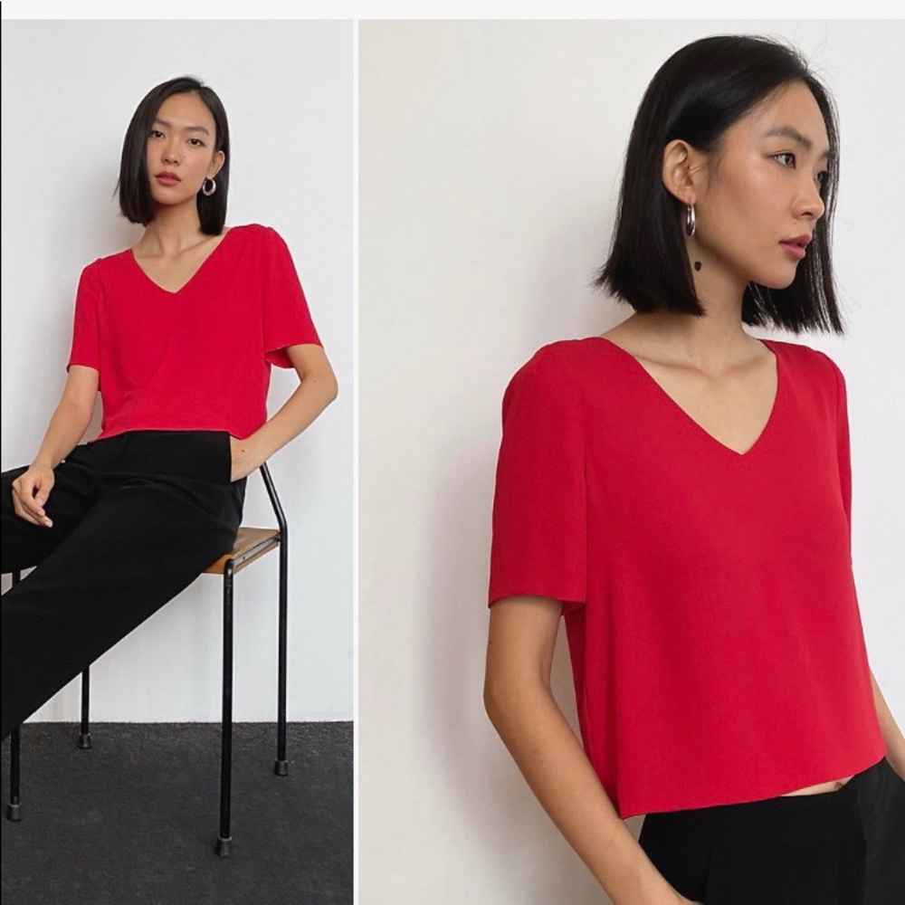 Aritzia babaton “randy” blouse
